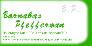 barnabas pfefferman business card